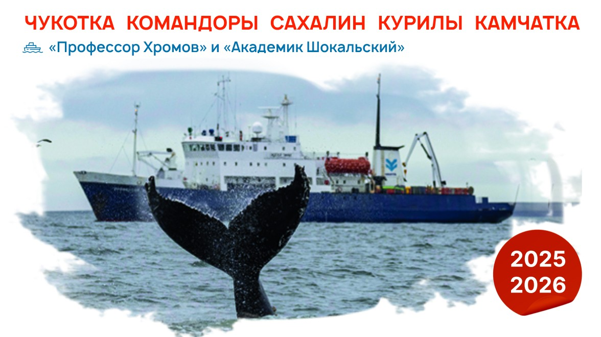 Экспедиционные круизы по Камчатке, Сахалину и Чукотке — путешествие по Дальнему Востоку Экспедиционные круизы по Дальнему Востоку России — Камчатка, Курильские острова, Сахалин и Чукотка